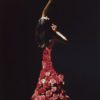 Mary Sano performing [Roses], Intermezzo by BrahmsChoreographed by Mary Sano (2005)